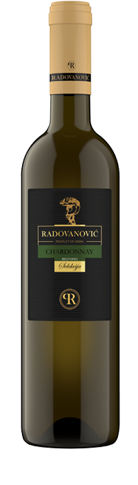 chardonnay_selekcija_radovanovic chardonnay_selekcija_radovanovic
